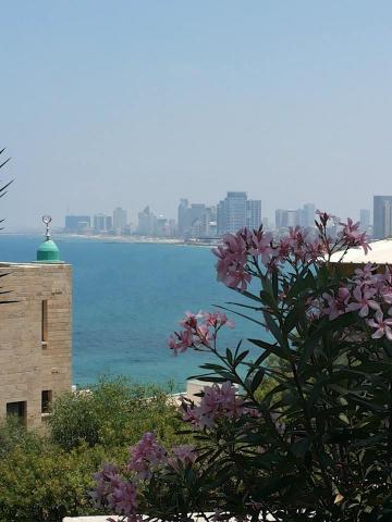 Mediterranean sea, Tel Aviv, 